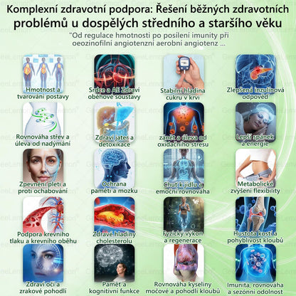 🇨🇿 Oficiální obchod | 💯 Geelemon® Moringa · Berberin × NAD+ 8-v-1 náplasti (Užívání jednou denně, viditelná změna do 7 dní) ✅ Na léčbu obezity, povislé pokožky, cukrovky, spánkové apnoe a problémů s klouby.