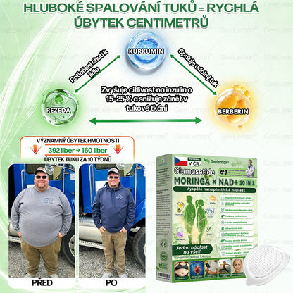 🇨🇿 Oficiální obchod | 💯 Geelemon® Moringa · Berberin × NAD+ 8-v-1 náplasti (Užívání jednou denně, viditelná změna do 7 dní) ✅ Na léčbu obezity, povislé pokožky, cukrovky, spánkové apnoe a problémů s klouby.