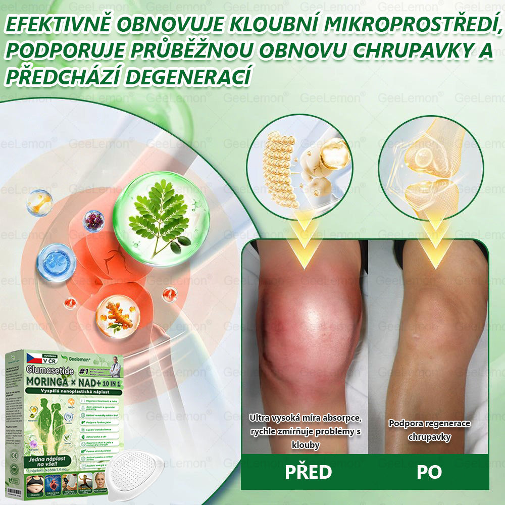 🇨🇿 Oficiální obchod | 💯 Geelemon® Moringa · Berberin × NAD+ 8-v-1 náplasti (Užívání jednou denně, viditelná změna do 7 dní) ✅ Na léčbu obezity, povislé pokožky, cukrovky, spánkové apnoe a problémů s klouby.