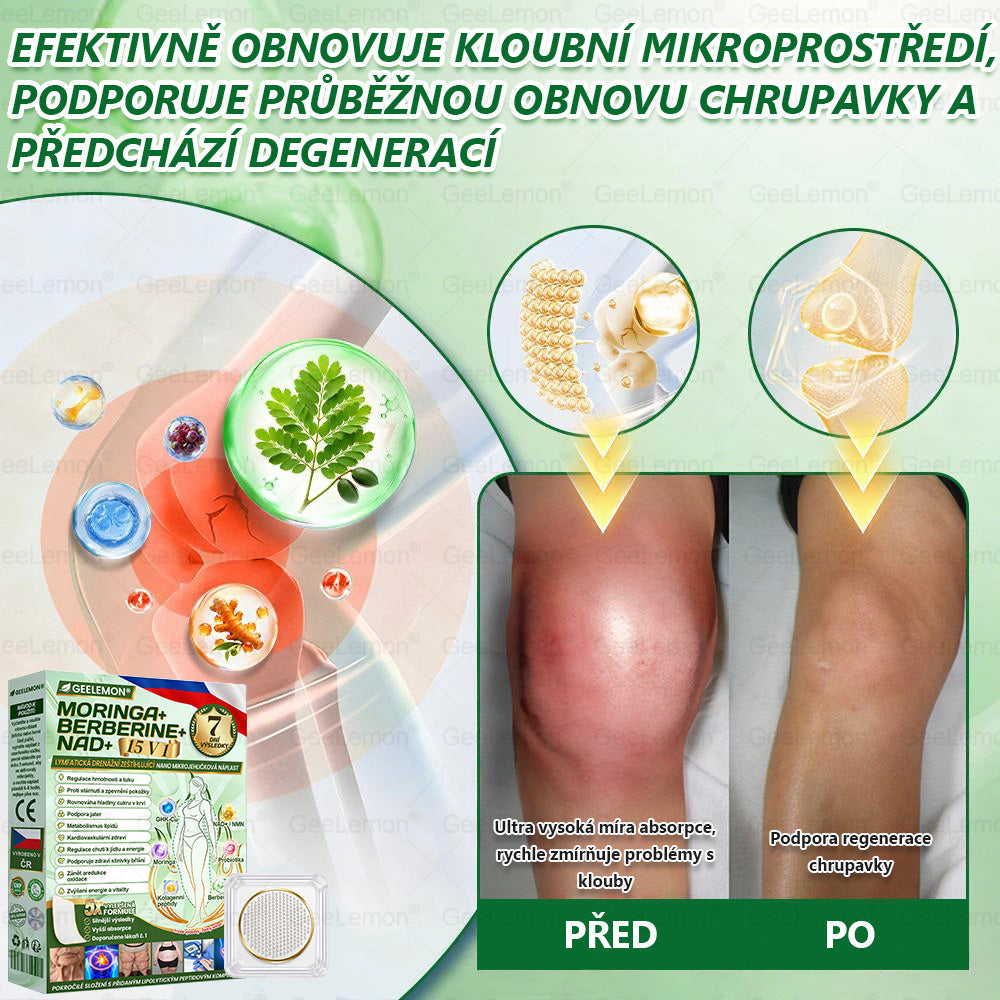 𝐆𝐞𝑒𝑙𝑒𝐦𝐨𝐧® 👩‍⚕️ Glum𝐚𝐬𝐞tide 8 v 1 – Zeštíhlující nano mikrojihlový náplas(Pouze jednou denně, viditelné změny již za 7 dní)  Určeno pro osoby s obezitou, diabetem, spánkovou apnoe