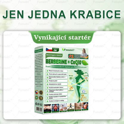 Oficiální obchod | 👩‍⚕️ Funutri® 10 v 1 metabolická tvarující náplast s nano mikrojehličkami  (Pouze jednou denně, viditelné změny již za 7 dní)  Určeno pro osoby s obezitou, diabetem, spánkovou apnoe