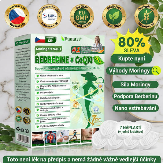 Oficiální obchod 🍀 Funutri® 10 v 1 metabolická tvarující náplast s nano mikrojehličkami (Pouze jednou denně, viditelné změny již za 7 dní)  Určeno pro osoby s obezitou, diabetem, spánkovou apnoe